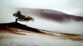 Windgepeitschte Silhouette im Grau