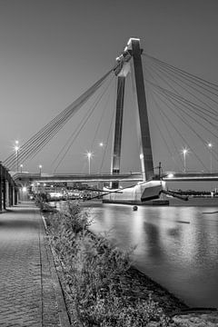Verlichte zuil van de Willemsbrug in Rotterdam | Monochroom van Melanie Viola