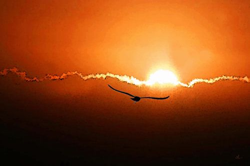 De ochtend is gebroken...