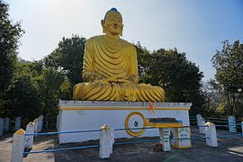 Majestätische Buddha-Statue in Dhulikhel von Frank Photos