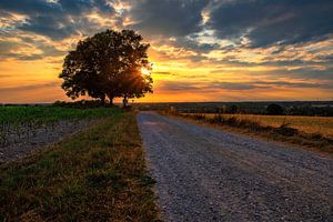 Coucher de soleil sur Friedhelm Peters