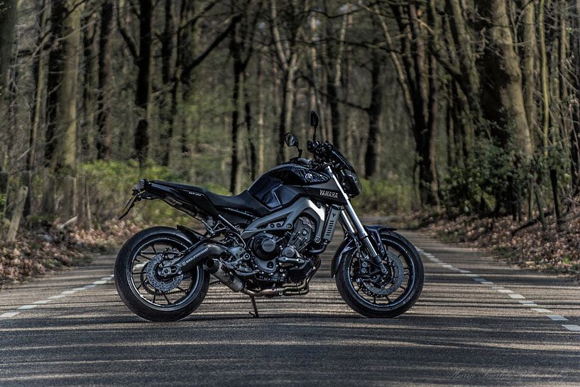 Yamaha MT09 von Westland Op Wielen