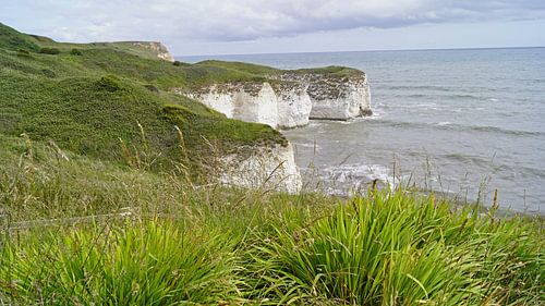Flamborough Cliffs