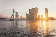 Nebliger Morgen an der Spitze des Südens in Rotterdam von Gijs Koole Miniaturansicht