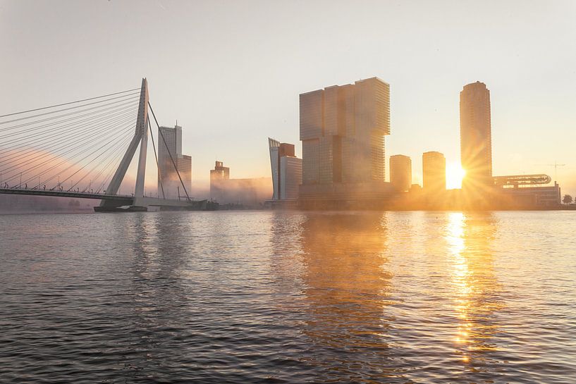 Mistige morgen aan de kop van zuid in Rotterdam van Gijs Koole