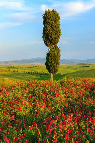 Val d'Orcia, Toscane, Italie