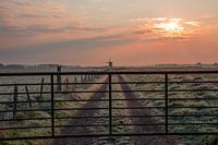 Zonsopkomst langs de Wimmenummervaart