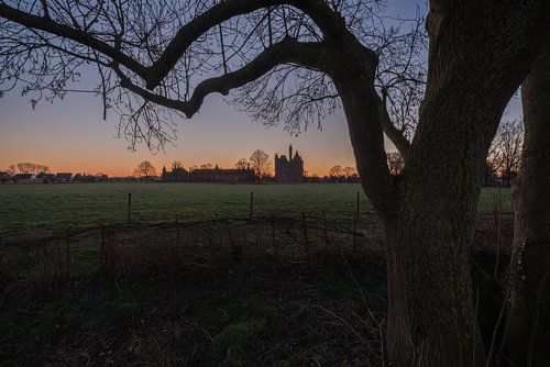 Middeleeuws Kasteel Doornenburg