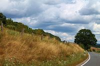 On your road