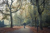 Fietser tijdens in mistige ochtend in het Noorderplantsoen in Groningen stad. van Hessel de Jong thumbnail