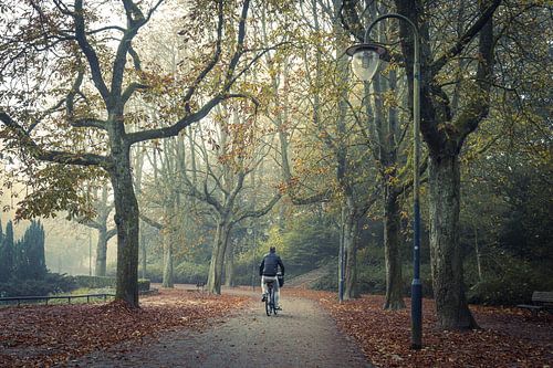 Fietser tijdens in mistige ochtend in het Noorderplantsoen in Groningen stad.