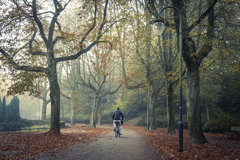 Fietser tijdens in mistige ochtend in het Noorderplantsoen in Groningen stad. van Hessel de Jong