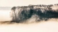 Nebelfelder von Rob Boon Miniaturansicht