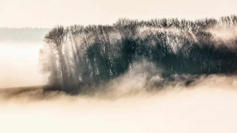 Nebelfelder von Rob Boon