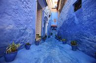 Straße im marokkanischen Chefchaouan mit blauen Wänden von Henny Hagenaars Miniaturansicht