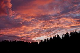 Colourful sunset
