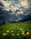 Schweizer Alpen von Niels Tichelaar Miniaturansicht