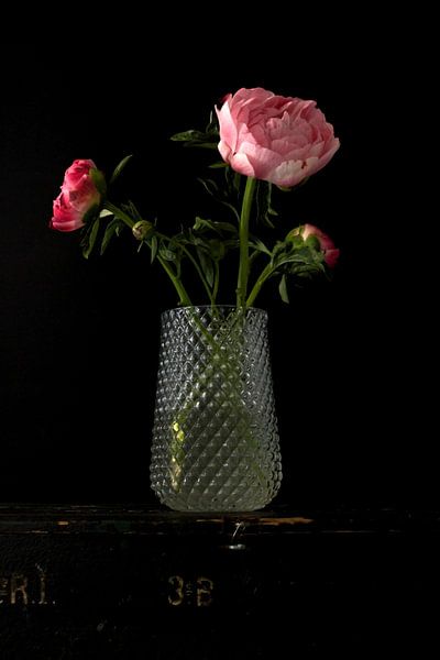 Bild einer Vase mit Pfingstrosen. von Therese Brals