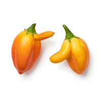 Een paar misvormde oranje mini aubergines met neus