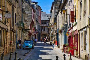 Eine Ente in Dinan