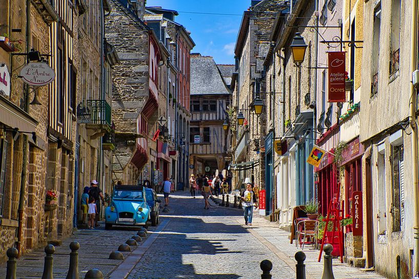 Een eend in Dinan van Skyfall