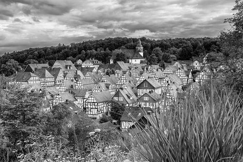 Freudenberg zwart-wit