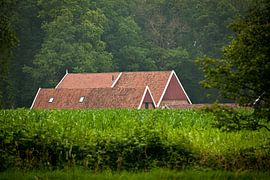 Versteckte Bauernhöfe in der Umgebung von Winterswijk (4)