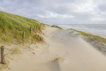 Strandleven! von Dirk van Egmond