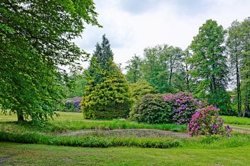 Rhododendronbloesem in het stadspark van Gisela Scheffbuch