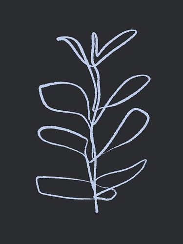 illustration bohème