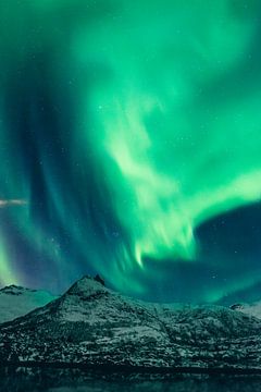Nordlichter, Aurora Borealis über den Lofoten in Norwegen von Sjoerd van der Wal