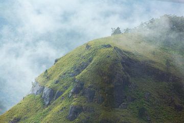 Mistige heuvels in Sri Lanka