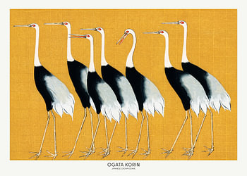 Japanse kroonkraanvogel