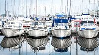 Motorboten in de jachthaven weerspiegeld in het water