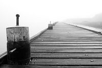 In the mist