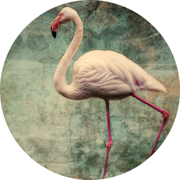 roze flamingo van Claudia Moeckel