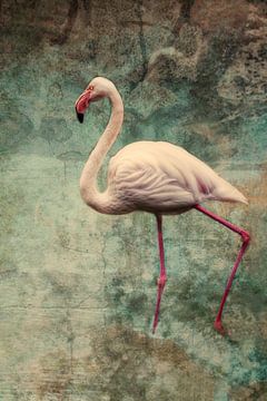 roze flamingo van Claudia Moeckel