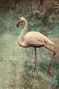 roze flamingo van Claudia Moeckel thumbnail