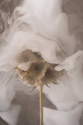 Landelijke vergankelijkheid - muurdecoratie set- Witte rook bij het elegante verval van een natuurlijke bol