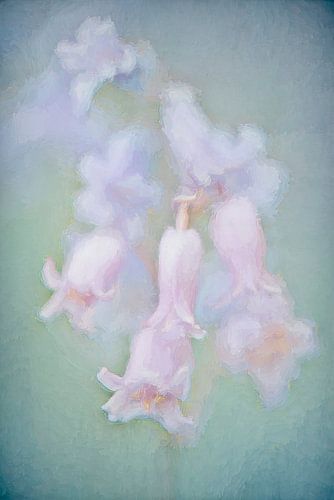 roze hyacinten in een kasteeltuin