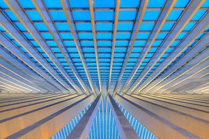 Liege-Guillemins abstract perspectief in het blauwe uur sur Dennis van de Water