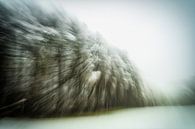 Waldrand im Schneefall abstrakt von Nicc Koch Miniaturansicht