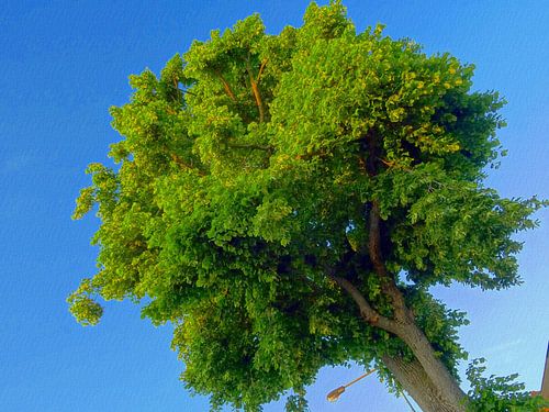 Tree Magic Spring Green van MoArt (Maurice Heuts)