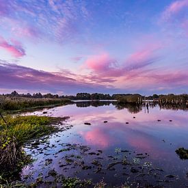 Parc national L'Alde Feanen près d'Earnewald (Eernewoude) sur Annie Jakobs