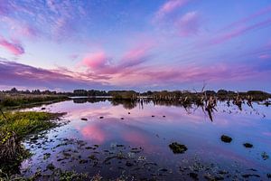 Nationaal Park De Alde Feanen bij Earnewald (Eernewoude) van Annie Jakobs