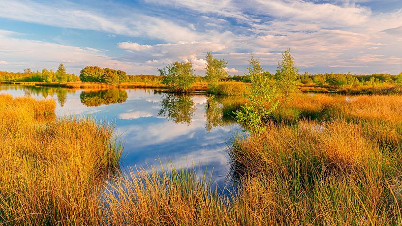 Evening light over the Dwingelderveld by Henk Meijer Photography