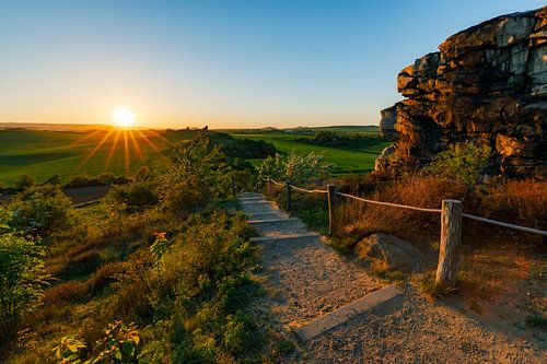 Paths to relaxation XVI