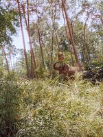 Un éléphant enjoué en vert