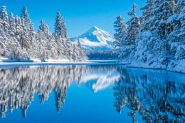 Paysage de montagne hivernal sur Poster Art Shop