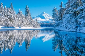 Winter berglandschap van Poster Art Shop